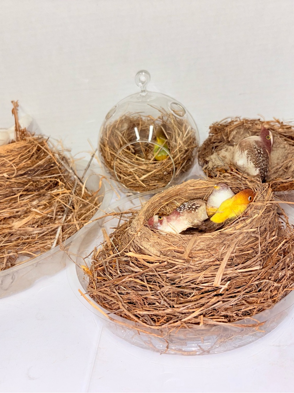 Nests - Picture 6 of 6
